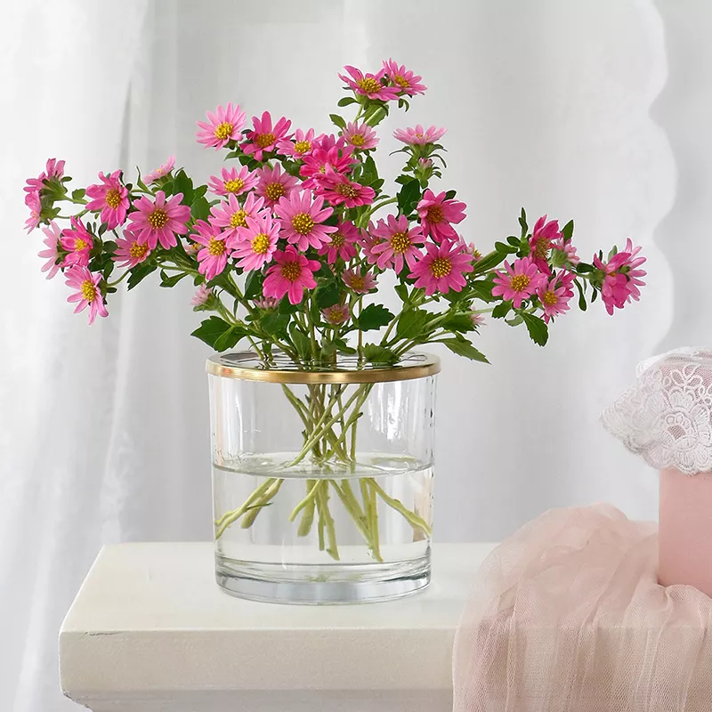 cylinder Flower home Decor glass flower pot decoration long Clear glass Vase - Image 5