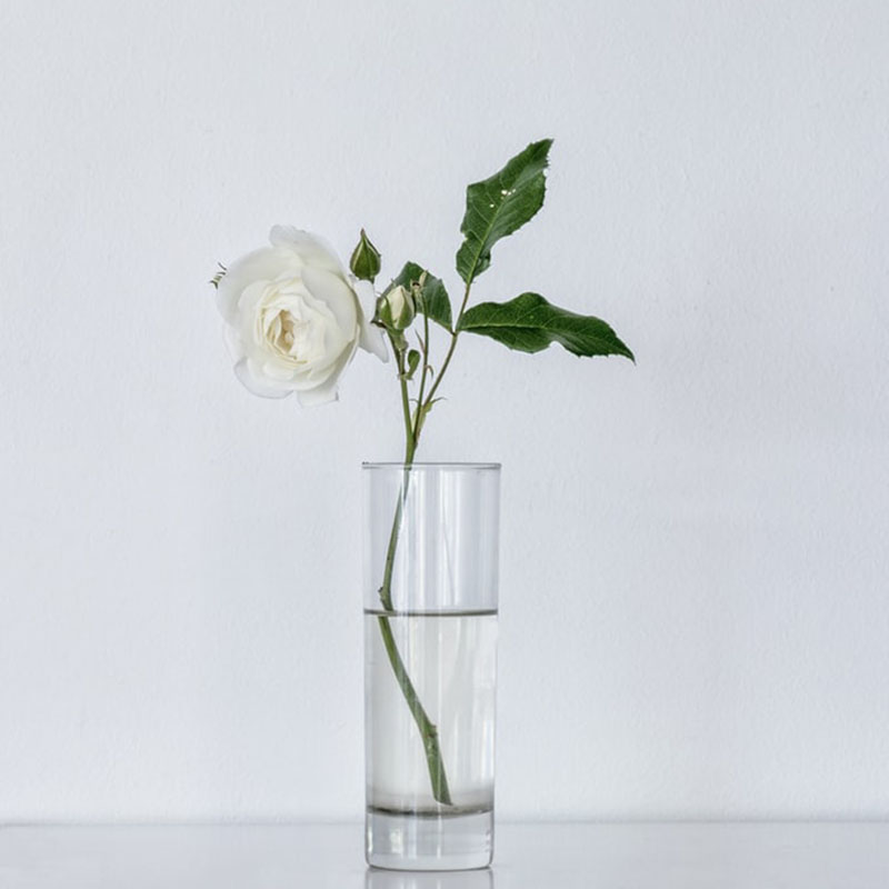 Glass Tube Vases and Flower Pots Hydroponic Plant Home Garden Simple Decoration - Image 4