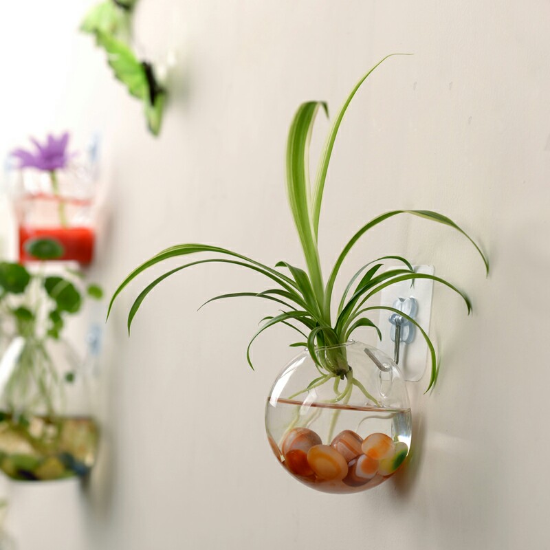 Glass Flowerpot Office Decoration Succulent Vase Container Hanging Globe Landscape Bottle - Image 2